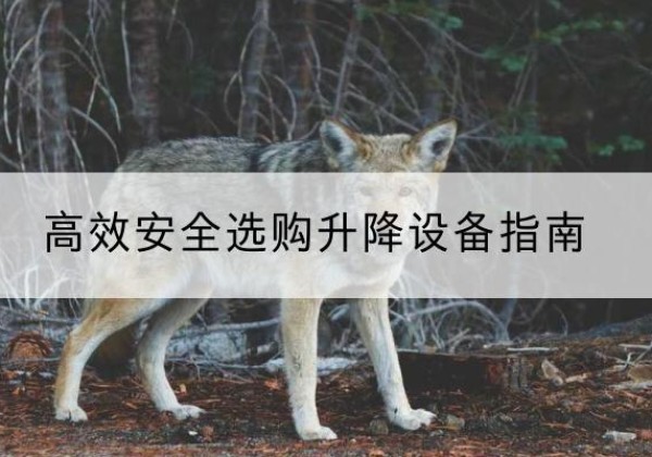 潮南升降货梯厂家推荐-*安全选购升降设备指南