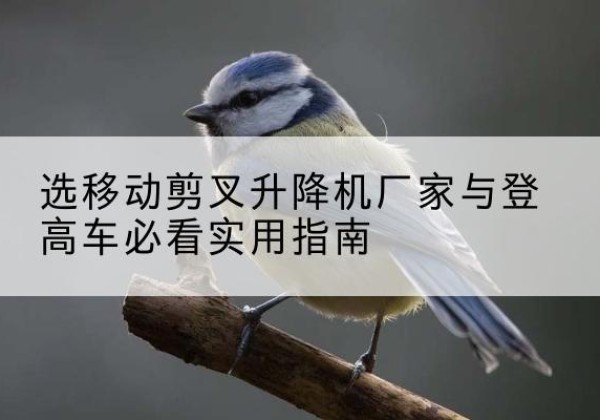 潮南电动升降机厂家-选移动剪叉升降机厂家与登高车必看实用指南