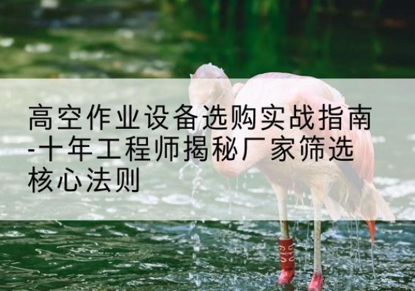潮南剪叉式升降机厂家-高空作业设备选购实战指南-十年工程师揭秘厂家筛选核心法则