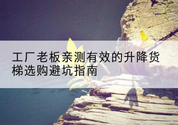 潮南升降货梯怎么选-工厂老板亲测有效的升降货梯选购避坑指南